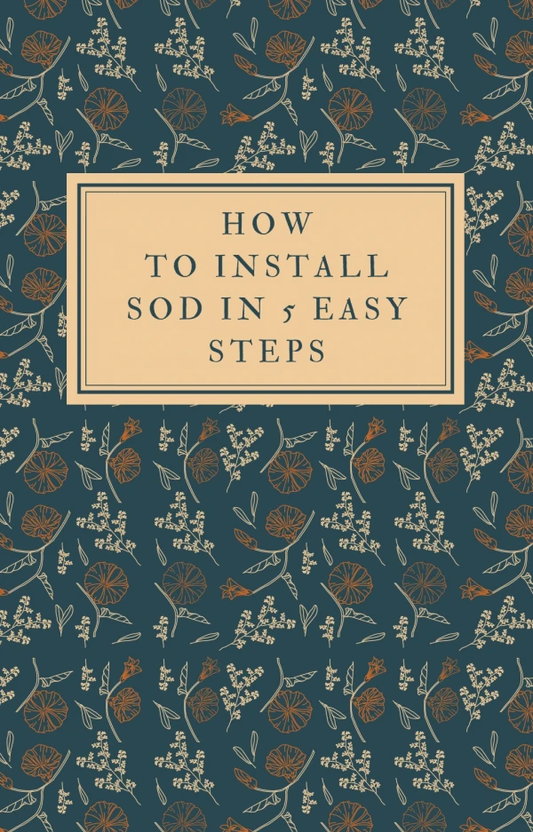 How To Install SOD in 5 easy Steps