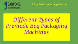 Different Types of Premade Bag Packaging Machines