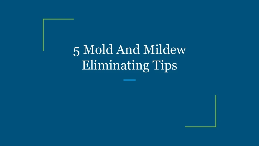 5 mold and mildew eliminating tips