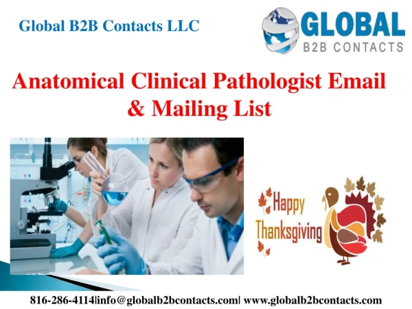 global b2b contacts llc