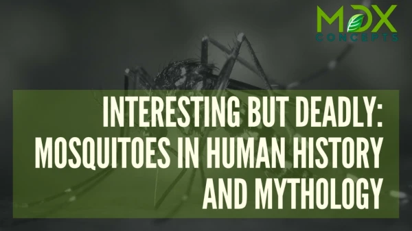 Interesting But Deadly: Mosquitoes in Human History and Mythology
