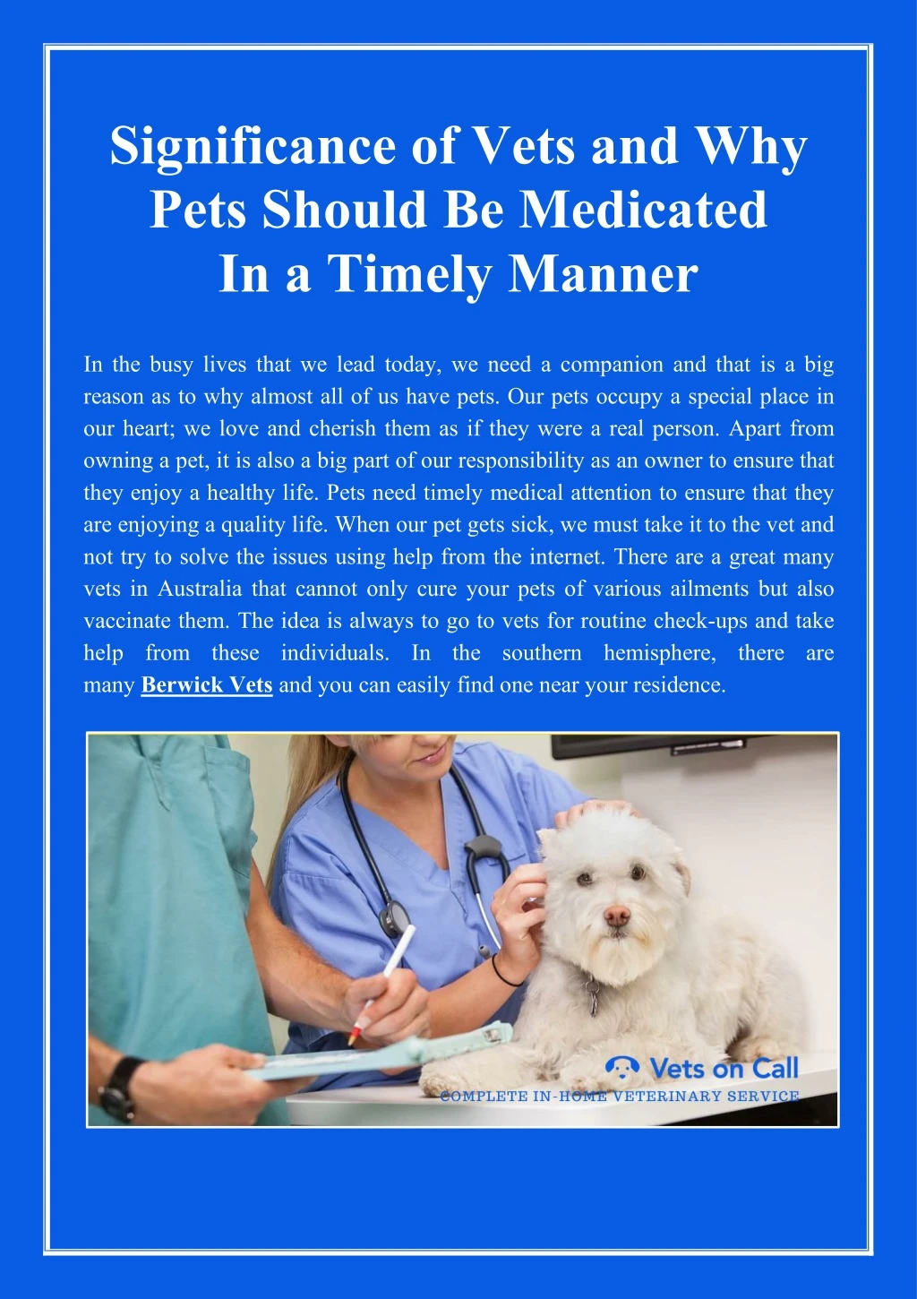 significance of vets and why pets should