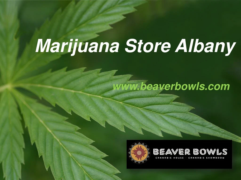 marijuana store albany