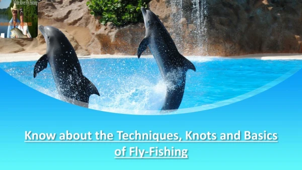 Know about the Techniques, Knots and Basics of Fly-Fishing
