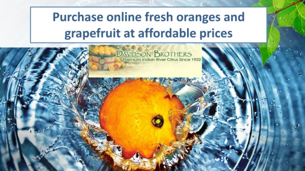 Purchase online fresh oranges and grapefruit at affordable prices