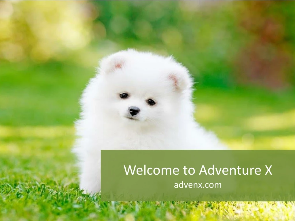 welcome to adventure x advenx com