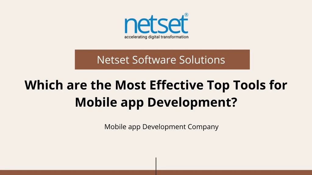 netset software solutions