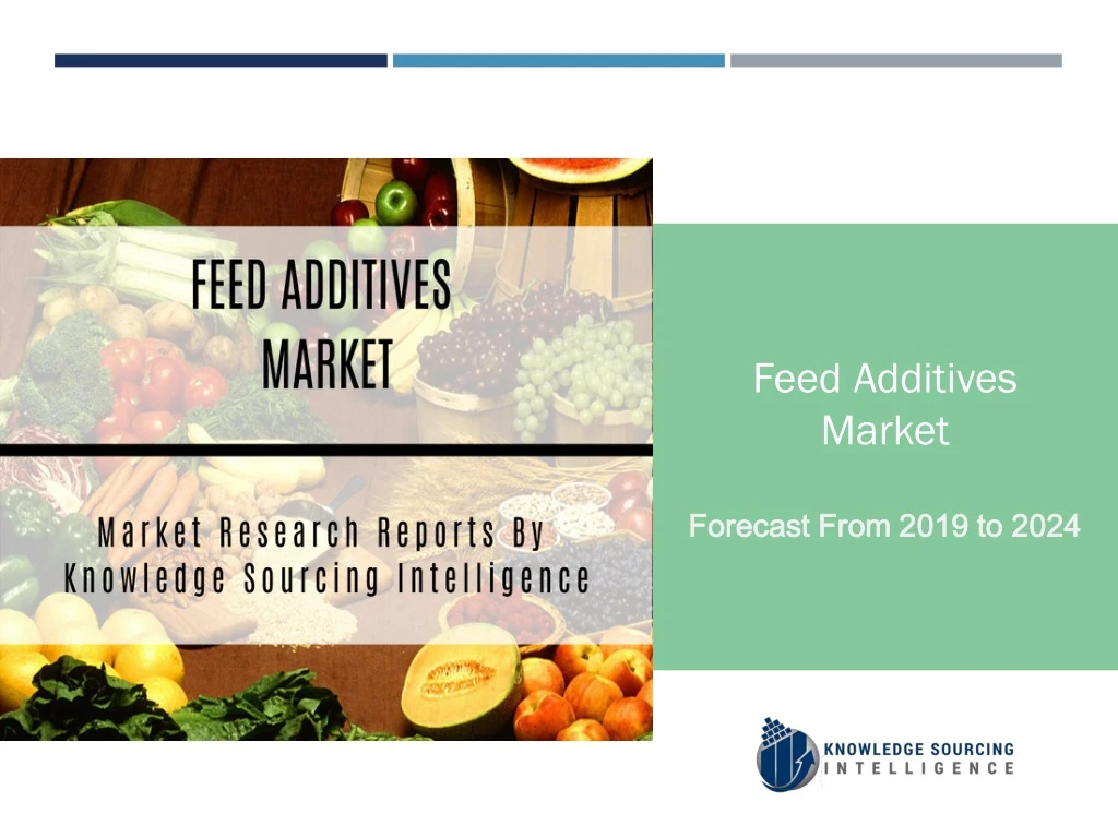 feed additives market forecast from 2019 to 2024