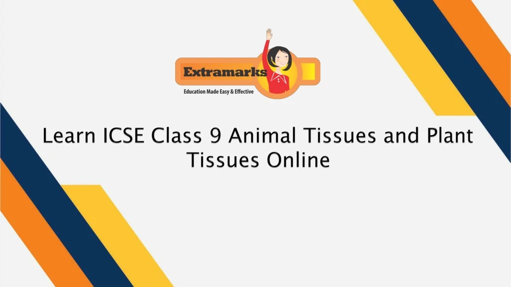 learn icse class 9 animal tissues and plant tissues online