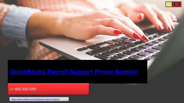 quickbooks payroll support phone number