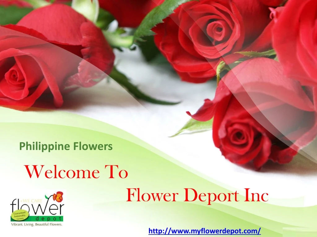 philippine flowers