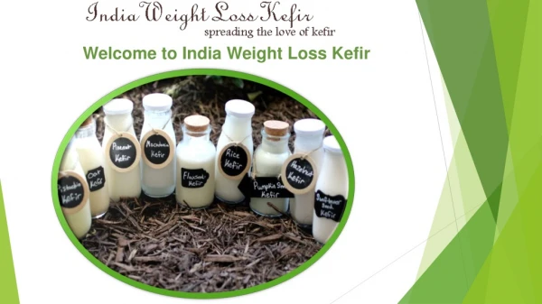 Buy Organic Milk Kefir Grains in India