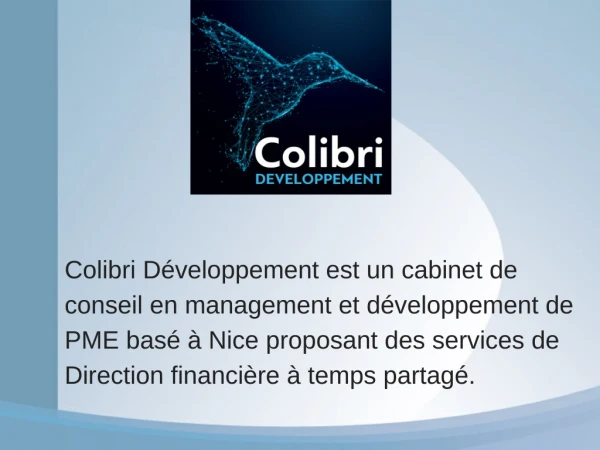 colibri d veloppement est un cabinet de conseil