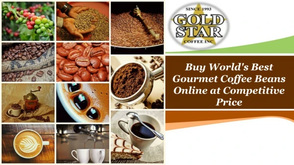 Buy World's Best Gourmet Coffee Beans Online at Competitive Price