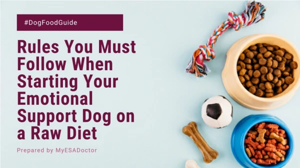 Rules You Must Follow When Starting Your Emotional Support Dog on a Raw Diet