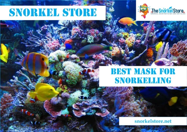 Best Mask For Snorkelling