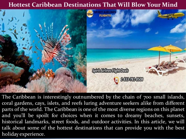 Hottest Caribbean Destinations That Will Blow Your Mind