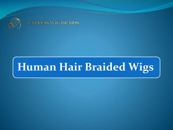 Human Hair Braided Wigs