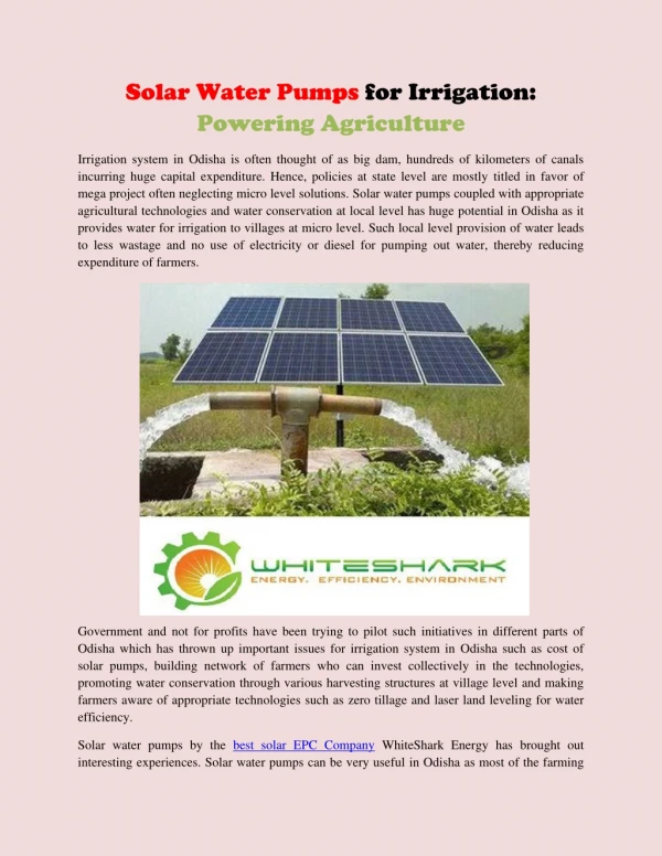 Solar Water Pumps for Irrigation Powering Agriculture