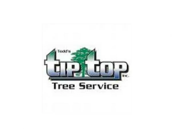 Todd's Tip Top Complete Tree Service