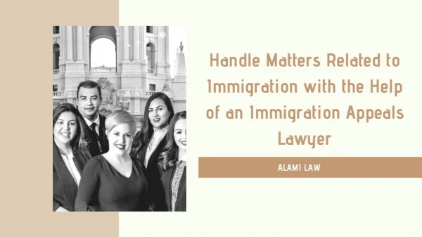 Handle Matters Related to Immigration with the Help of an Immigration Appeals Lawyer