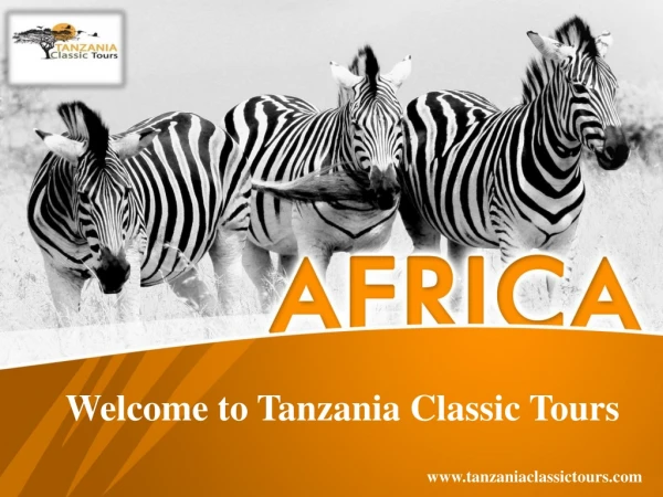 Welcome to Tanzania Classic Tours