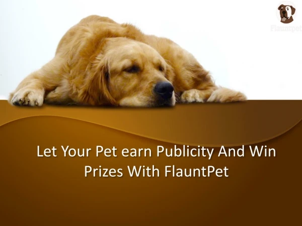 Let Your Pet earn Publicity And Win Prizes With FlauntPet