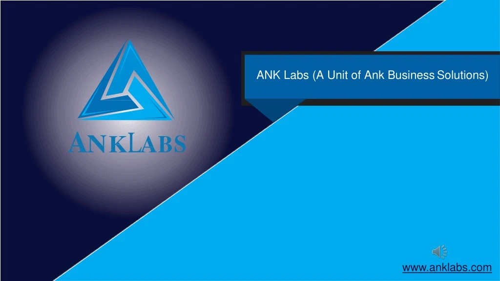 ank labs a unit of ank business solutions