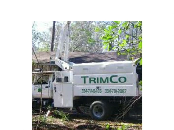 TrimCo Tree Experts