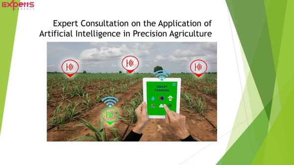Expert Consultation on the Application of Artificial Intelligence in Precision Agriculture
