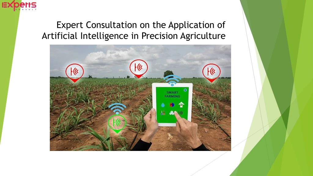 expert consultation on the application of artificial intelligence in precision agriculture