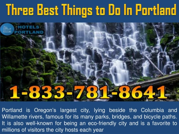 Three Best Things to Do In Portland