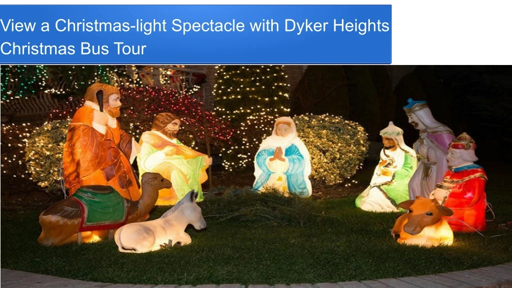 view a christmas light spectacle with dyker