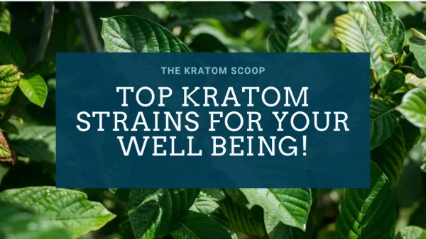 Top kratom strains for your well-being