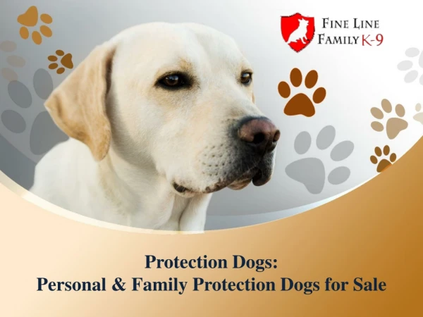Protection dogs  personal &amp; family protection dogs for sale