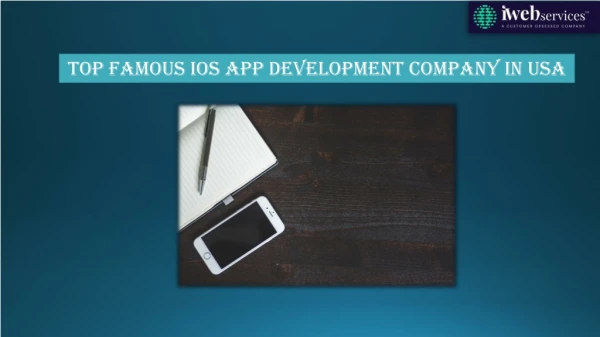Top Famous iOS App Development Company In USA - iWebServices