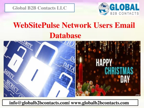 websitepulse network users email database