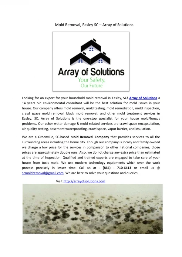 Mold Removal Easley SC – Array of Solutions