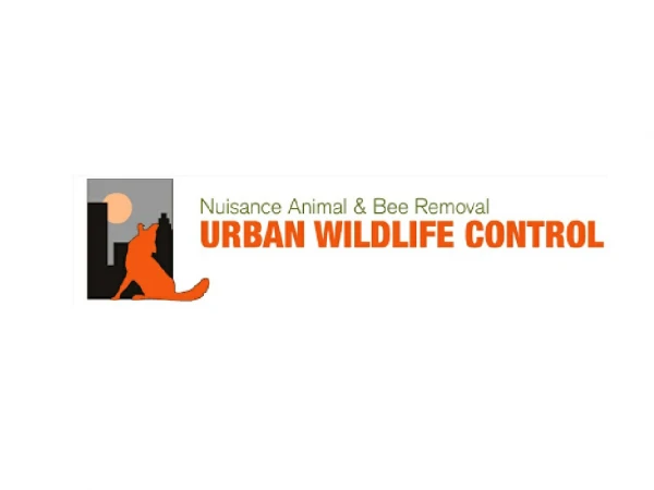 Urban Wildlife Control