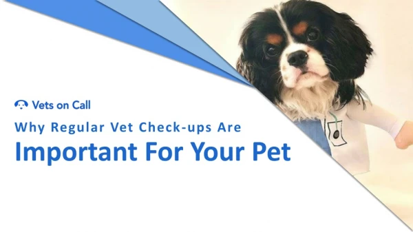 Importance of Regular Vet Check-ups For Your Pet