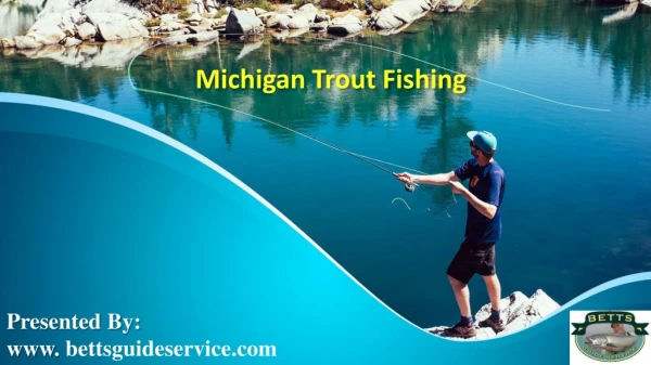 Michigan Trout Fishing