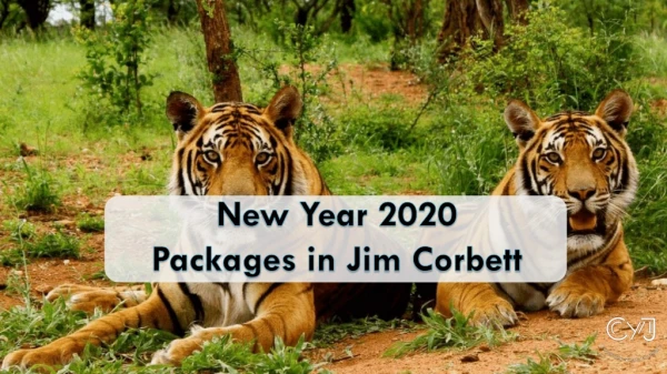 Jim Corbett New Year Packages | New Year Packages in Jim Corbett | New Year Packages 2020 in Jim Corbett