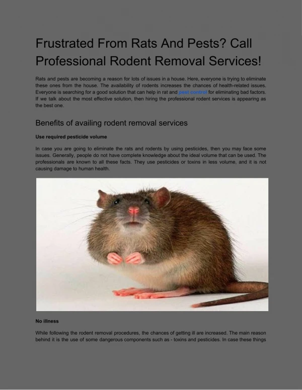 Rodent and Pest Control san francisco