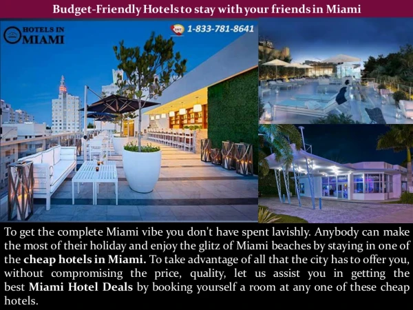 Budget-Friendly Hotels to stay with your friends in Miami