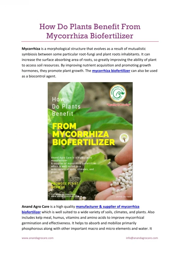 How Do Plants Benefit From Mycorrhiza Biofertilizer