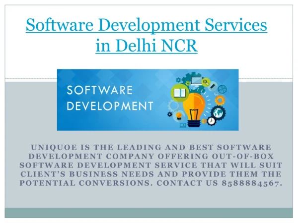 Software Development Services in Delhi NCR