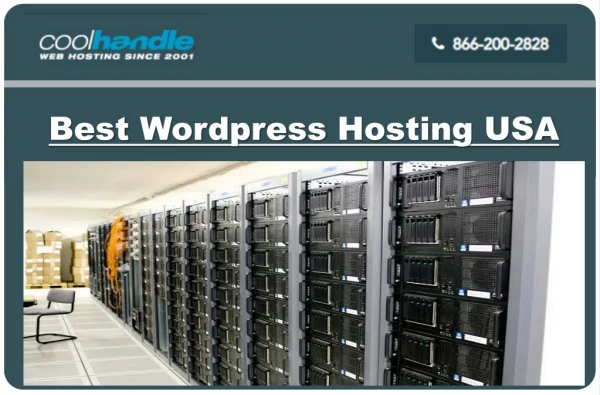 Best Wordpress Hosting USA