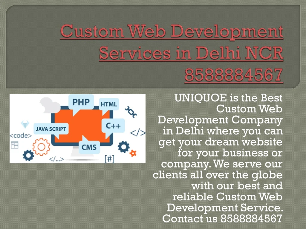 custom web development services in delhi ncr 8588884567