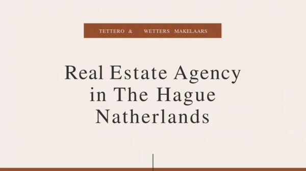 Real Estate Agency in The Hague Natherlands