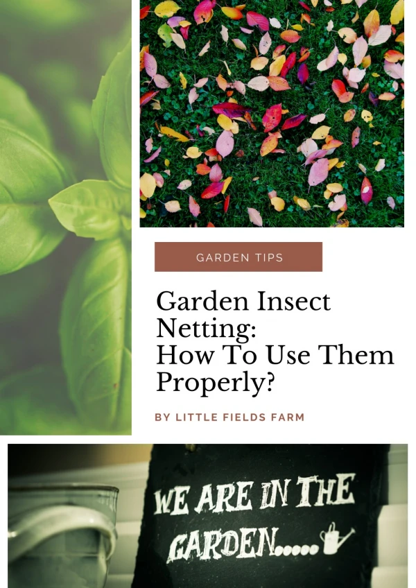 Garden Insect Netting: How To Use Them Properly?